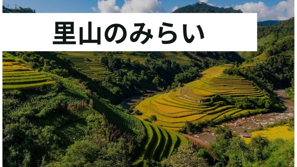 木づくりの家　木は山にある！　   東広島市　工務店　注文住宅　古民家リフォーム